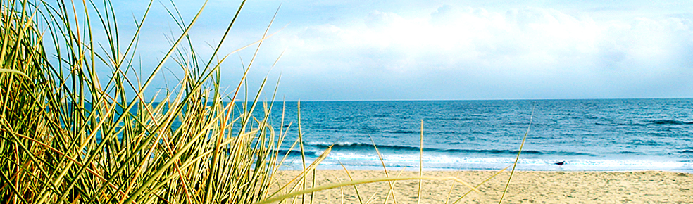 Banner Startseite - Fehmarn Strand